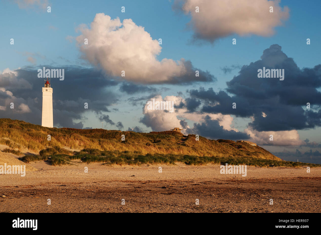 Leuchtturm im Abendlicht, Blavand Foto Stock