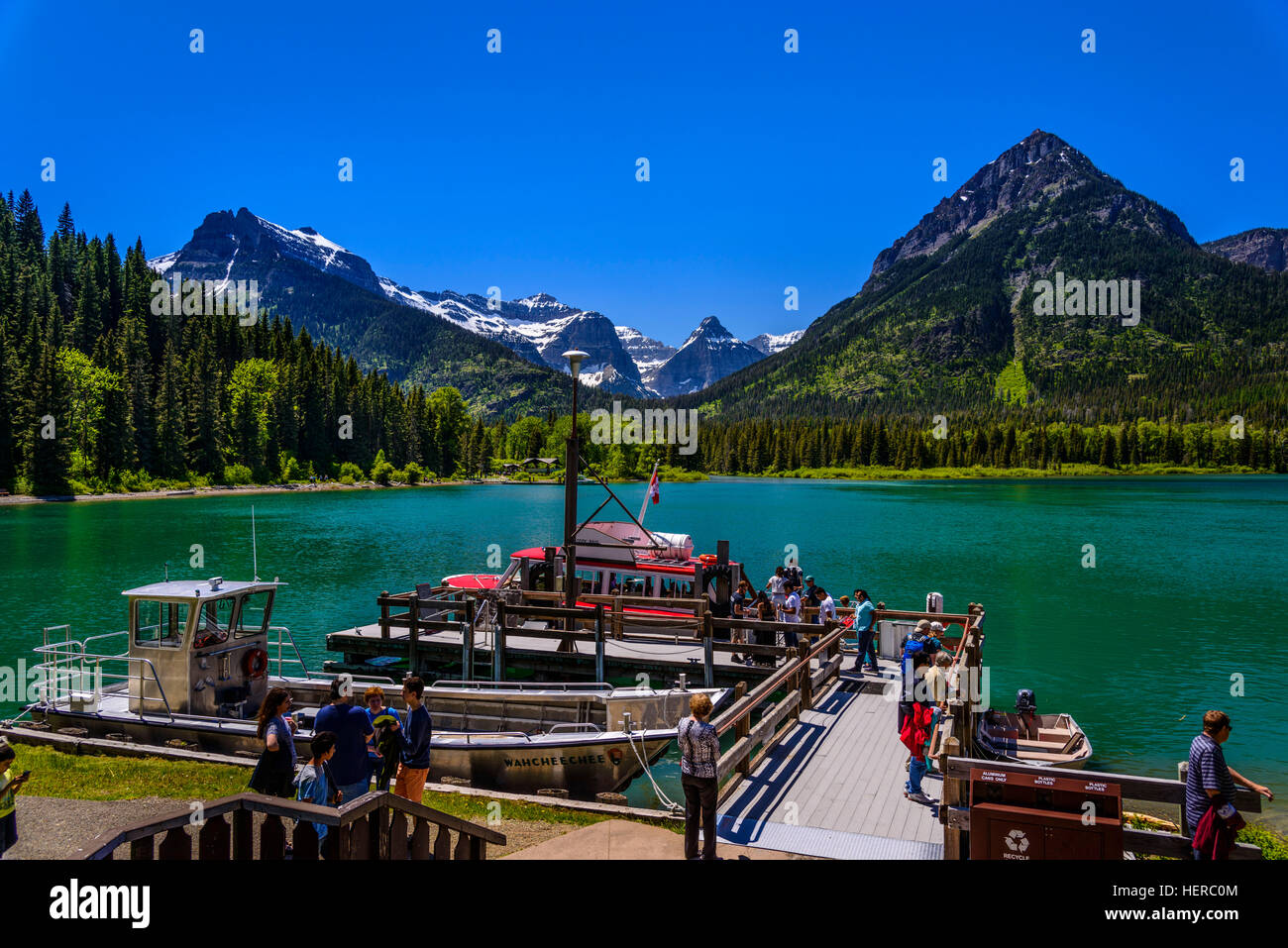 Stati Uniti d'America, Montana, il Parco Nazionale di Glacier, capra tormentare, Superiore Waterton Lake, Bootsanlegestelle Foto Stock
