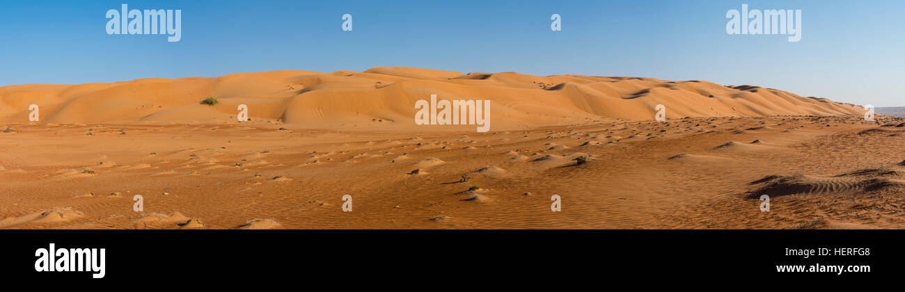 Dune di sabbia del deserto, Sharqiya sabbie o Wahiba Sands, Al Raka, Oman Foto Stock