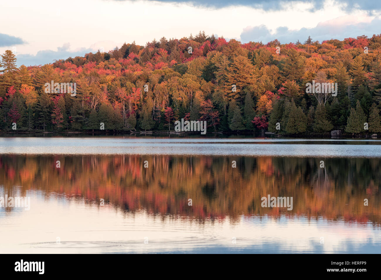 Tramonto sulla lunga vasca, Regis Canoe Area, Adirondack State Park, New York. Foto Stock