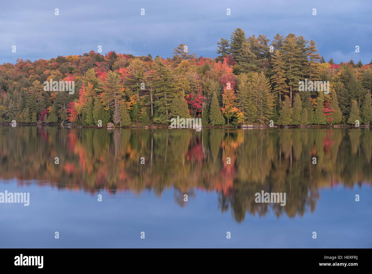 Tramonto sulla lunga vasca, Regis Canoe Area, Adirondack State Park, New York. Foto Stock