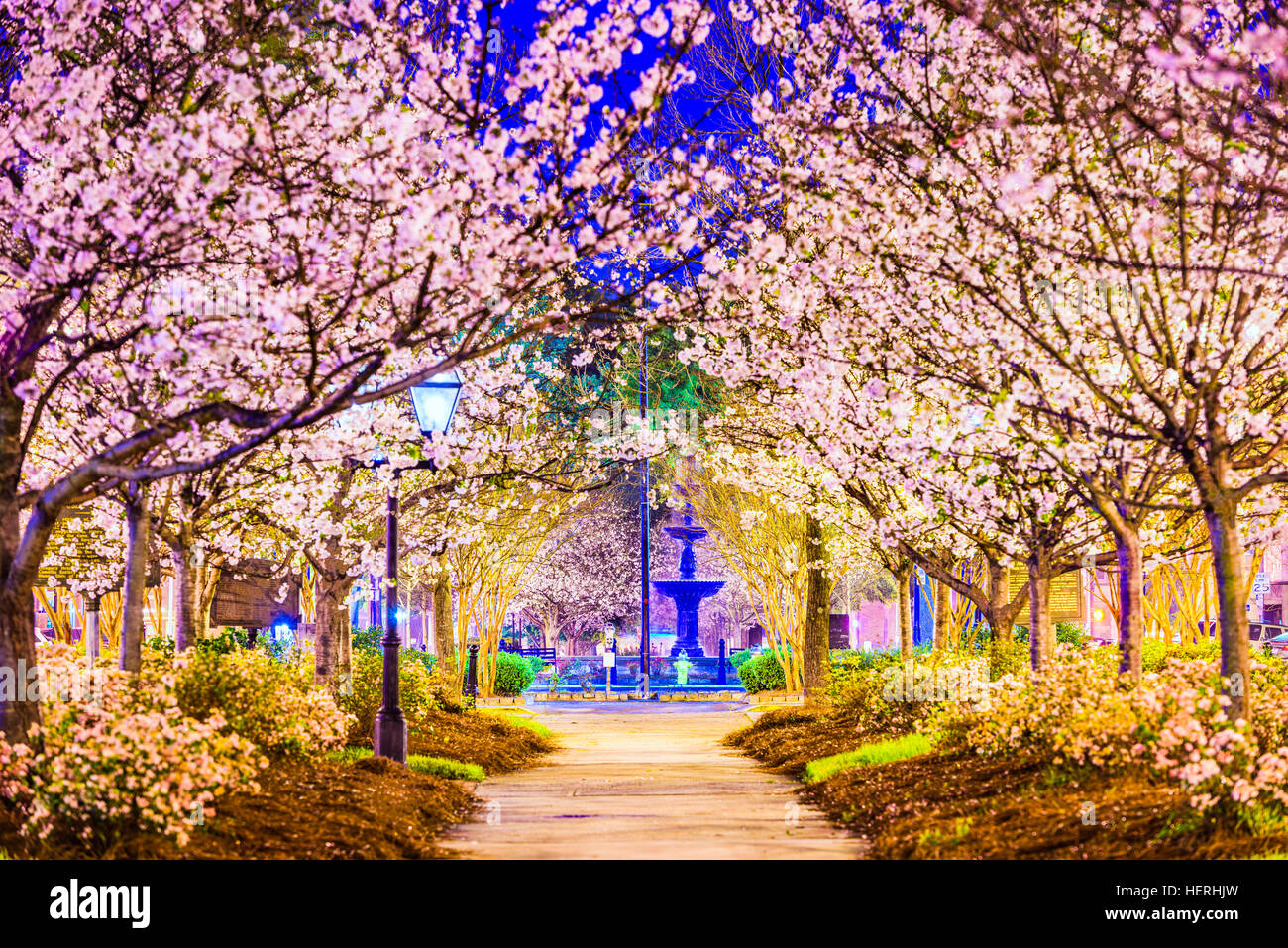Macon, Georgia, Stati Uniti d'America in primavera. Foto Stock