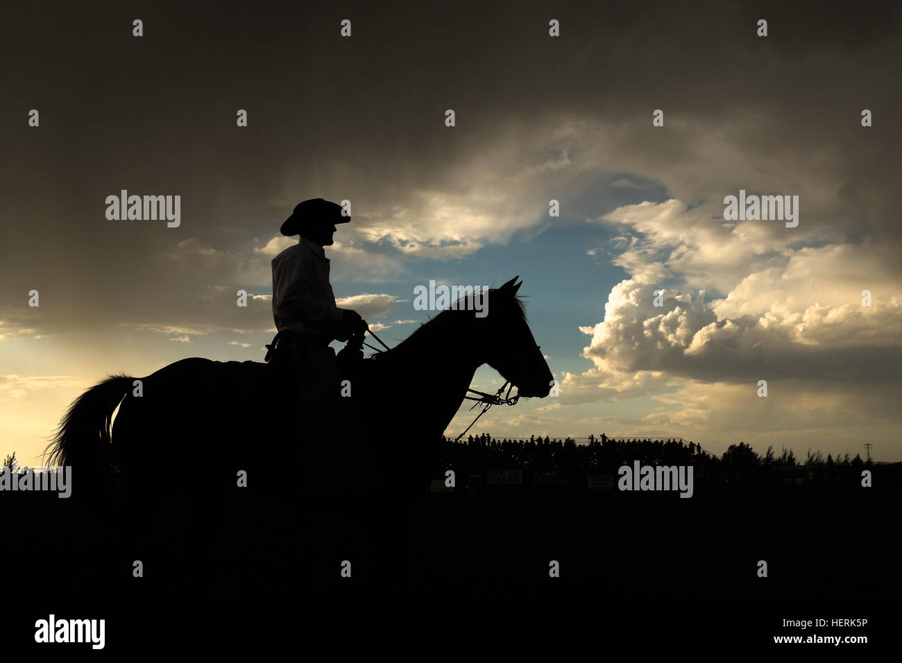 Silhouette di cowboy su un cavallo, Wyoming, Stati Uniti Foto Stock