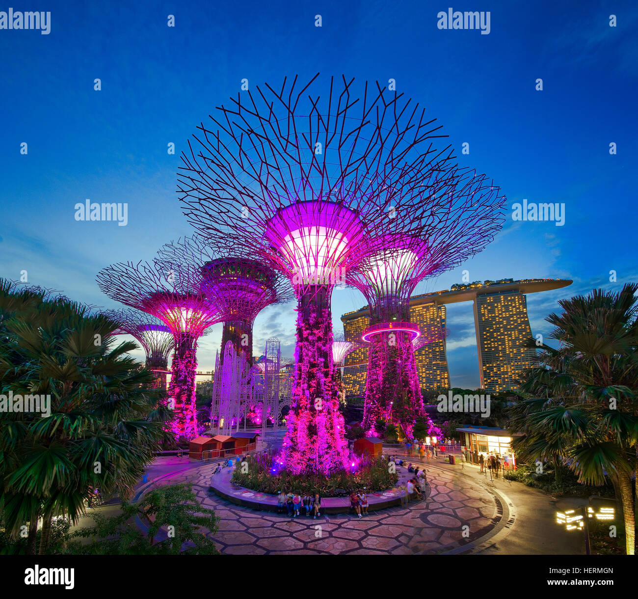 Supertree grove, Singapore Foto Stock