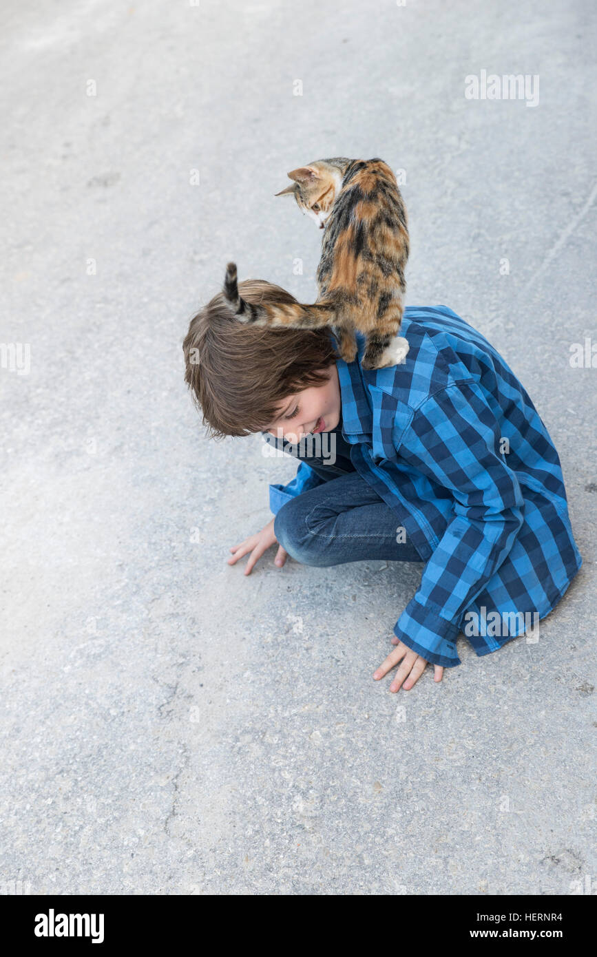 Gatto in piedi su un ragazzo in spalle Foto Stock