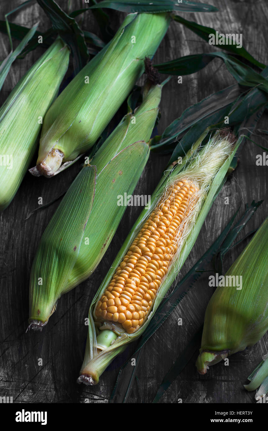 Fresche sulla pannocchia di mais Foto Stock