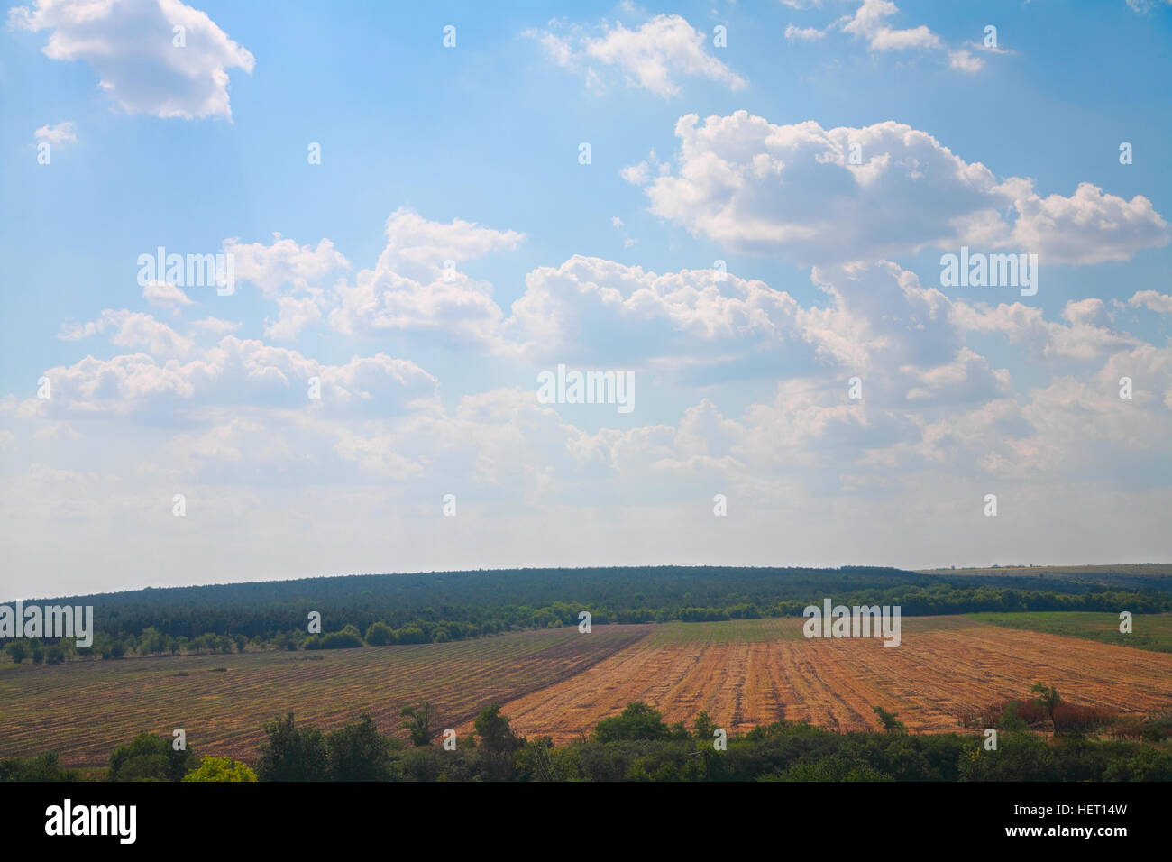 Paesaggio di campagna, campo, foresta e le nuvole nel cielo Foto Stock