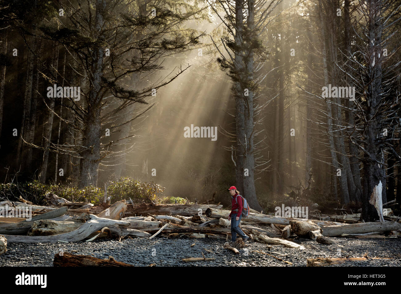 WASHINGTON - la luce del sole rottura attraverso la nebbia nella foresta costiera lungo le rive della spiaggia di Rialto nel Parco Nazionale di Olympic. Foto Stock