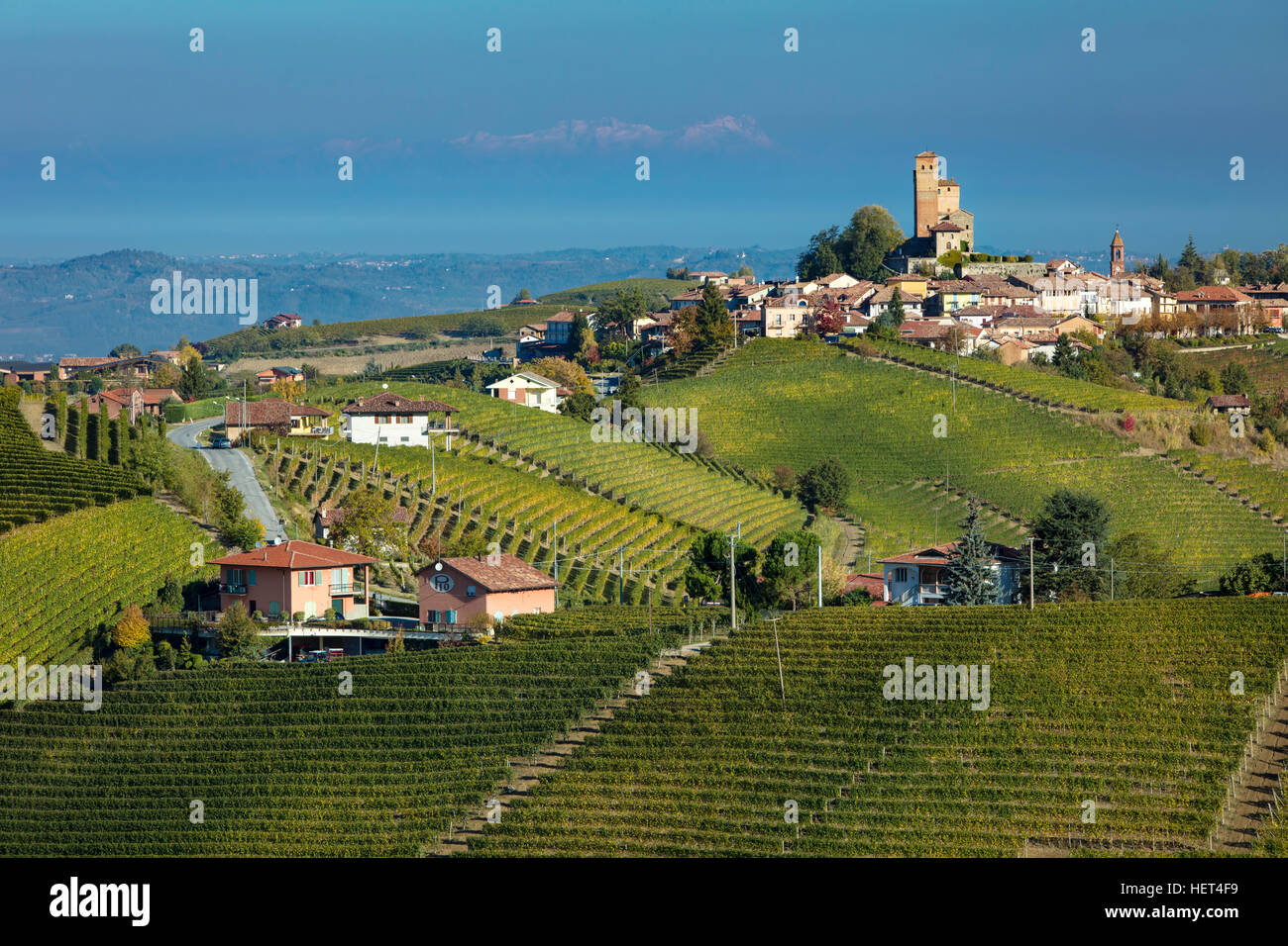 Vista la mattina su vigneti con la città di Serralunga d'Alba al di là, Piemonte, Italia Foto Stock
