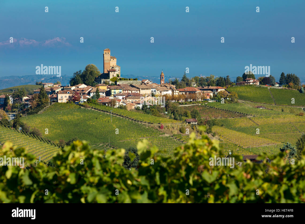Vista la mattina su vigneti con la città di Serralunga d'Alba al di là, Piemonte, Italia Foto Stock