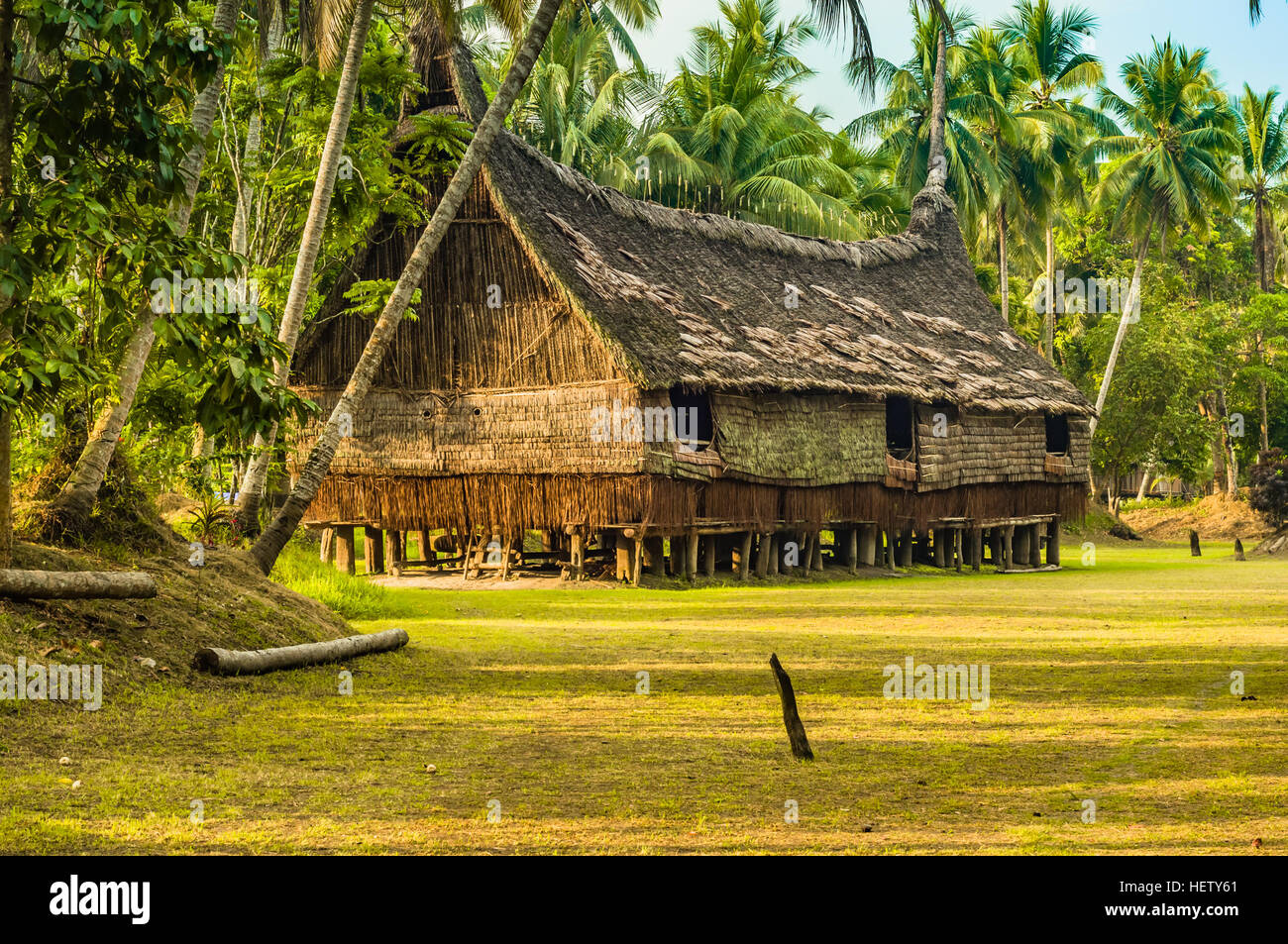 Grande casa fatta di paglia e legno circondato da palme in Palembe, fiume Sepik in Papua Nuova Guinea. In questa regione si può rispondere solo alle persone da isol Foto Stock