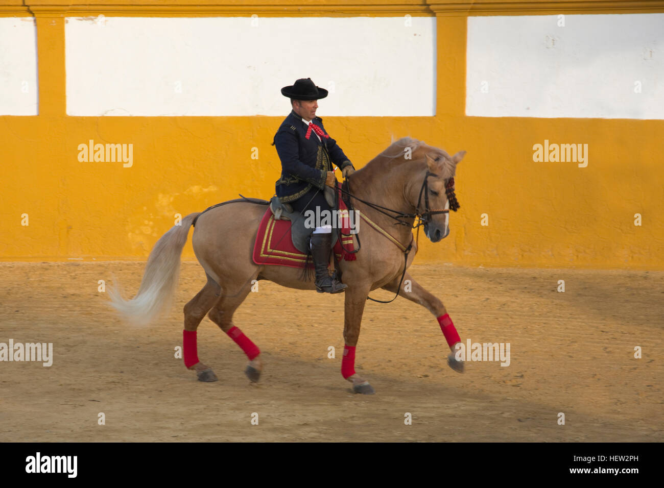 L'Europa, Spagna, Andalusia, Andalucía, il fiume Guadalquivir, Isla minimi, Hacienda andalusa, equestre spettacolo di flamenco Foto Stock