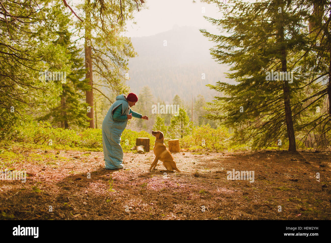 Uomo in sacco a pelo del cane di formazione, Sequoia National Park, California, Stati Uniti d'America Foto Stock