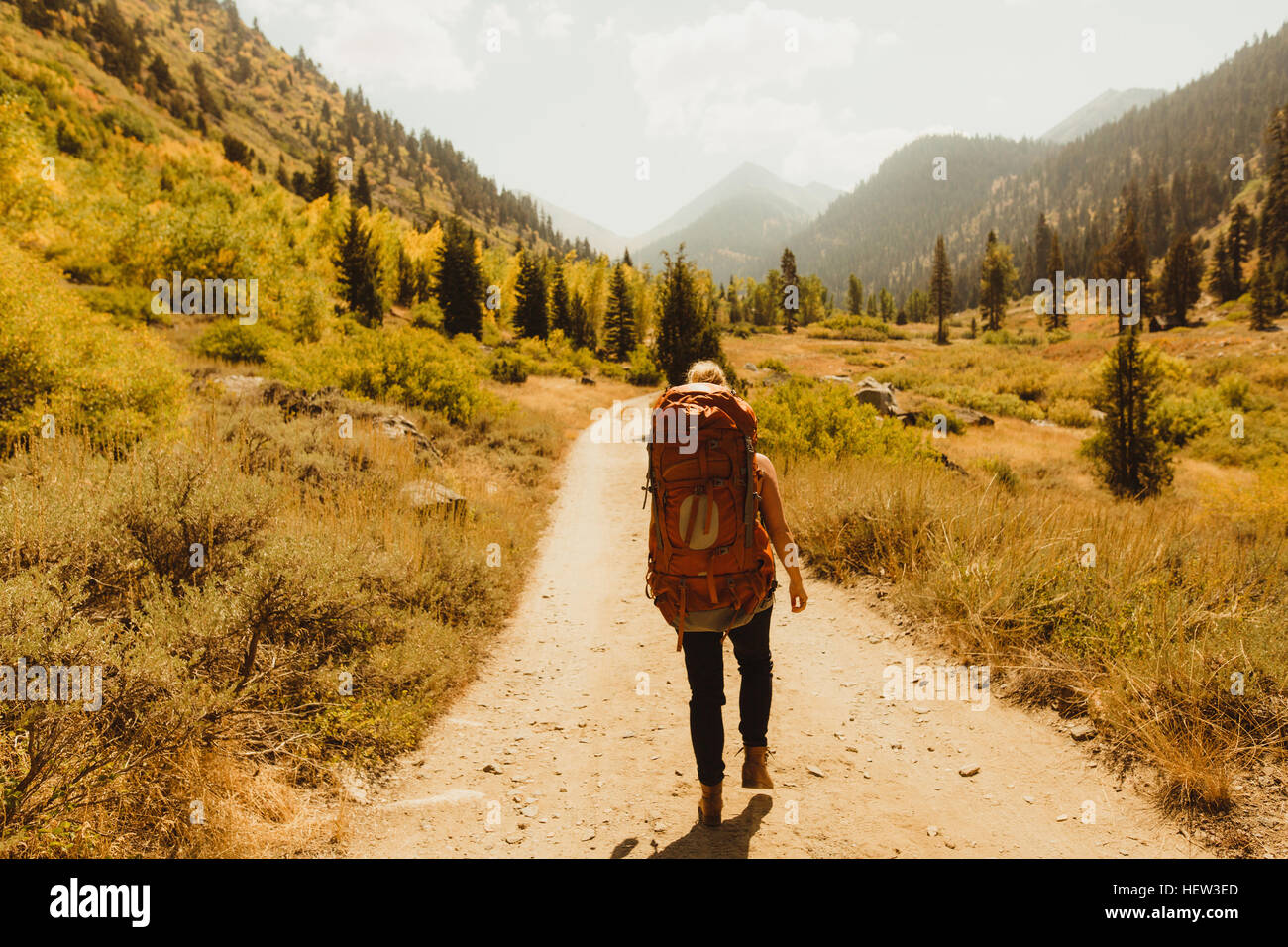 Donna che indossa uno zaino, camminando lungo il percorso rurale, vista posteriore, minerale re, Sequoia National Park, California, Stati Uniti d'America Foto Stock