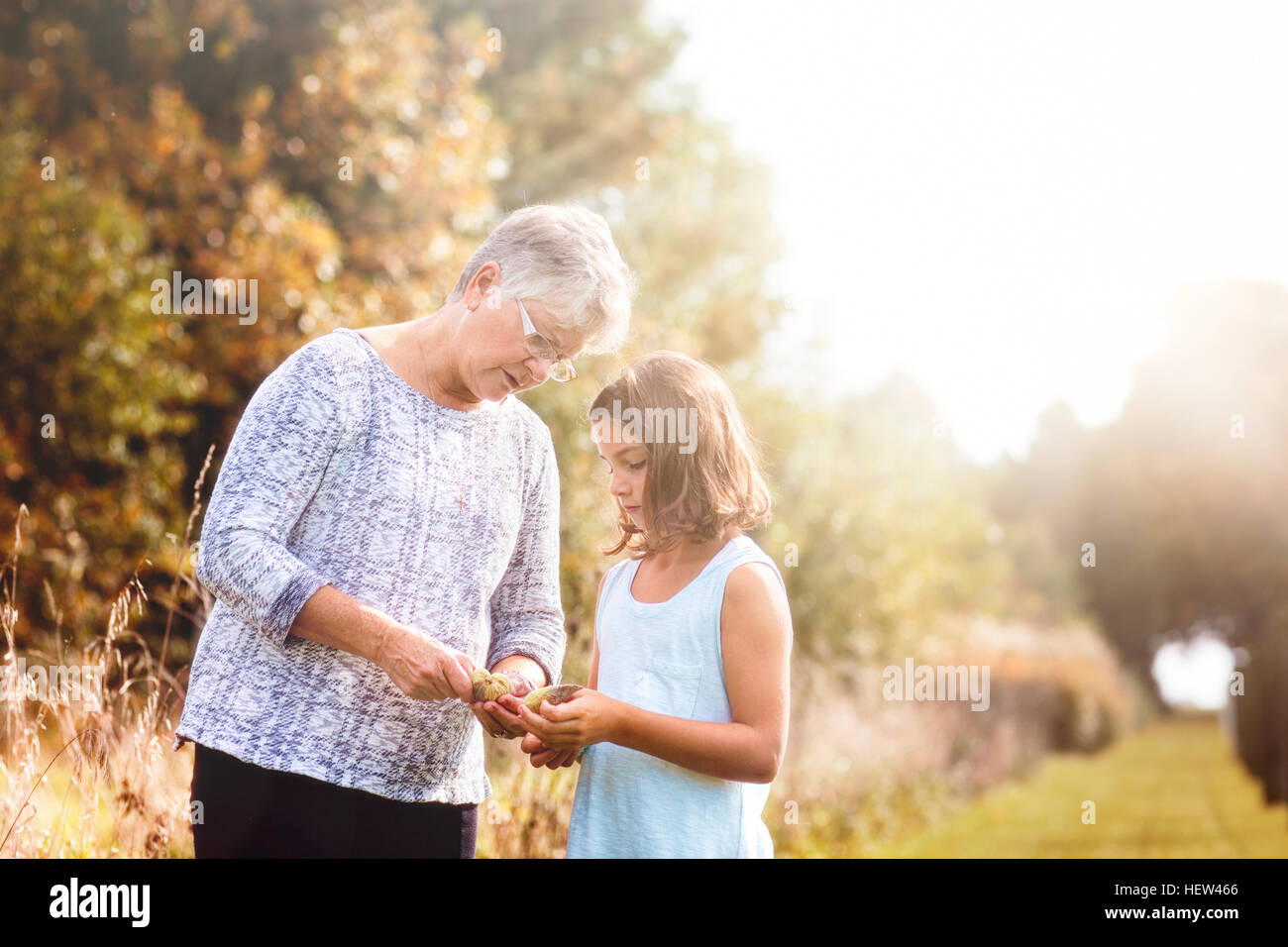 Nonna che mostra la nipote i semi all'interno di un milkweed pod Foto Stock