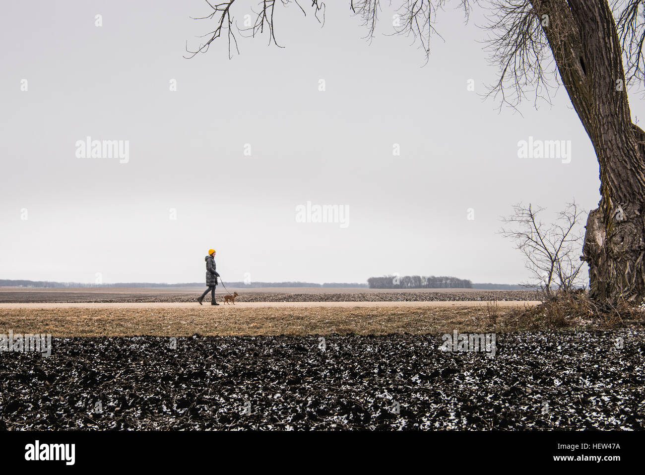 Donna che cammina cane sul paesaggio rurale Foto Stock