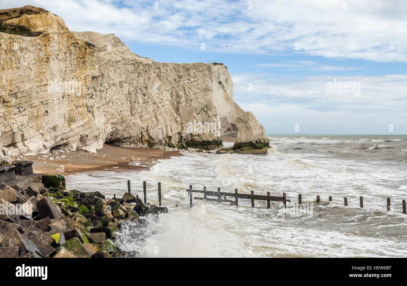 Costa al le bianche scogliere a Seaford Testa, East Sussex, England, Regno Unito Foto Stock