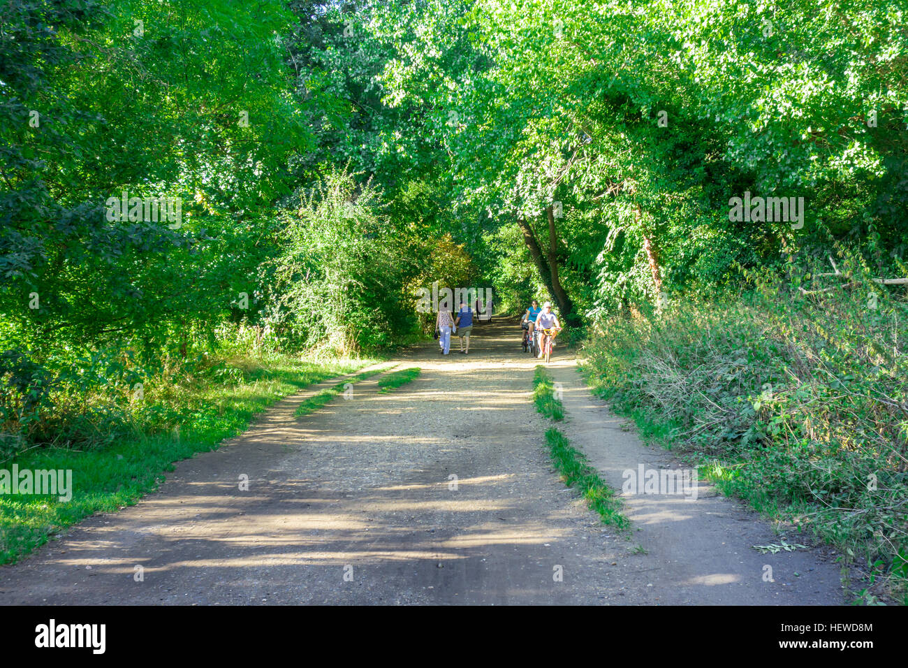 Un sentiero lungo il fiume Tamigi tra Richmond Park e Teddington Lock a Londra. Foto Stock