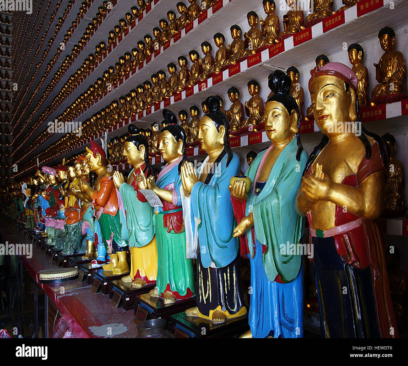 ,,Diecimila Buddha Sha Tin.,immagini di Buddha,tempio buddista,Signore Buddha,nuovi territori Foto Stock