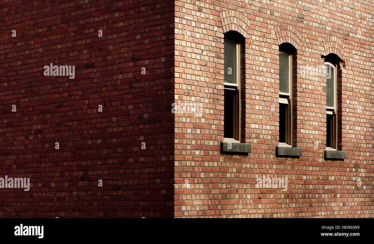 Un mattone è un materiale da costruzione fondamentale, tipicamente realizzato in argilla o cemento, ed è essenziale nella costruzione in muratura. I mattoni sono disponibili in vari tipi, dimensioni e materiali e sono uno dei materiali più resistenti e duraturi utilizzati negli edifici. Foto Stock