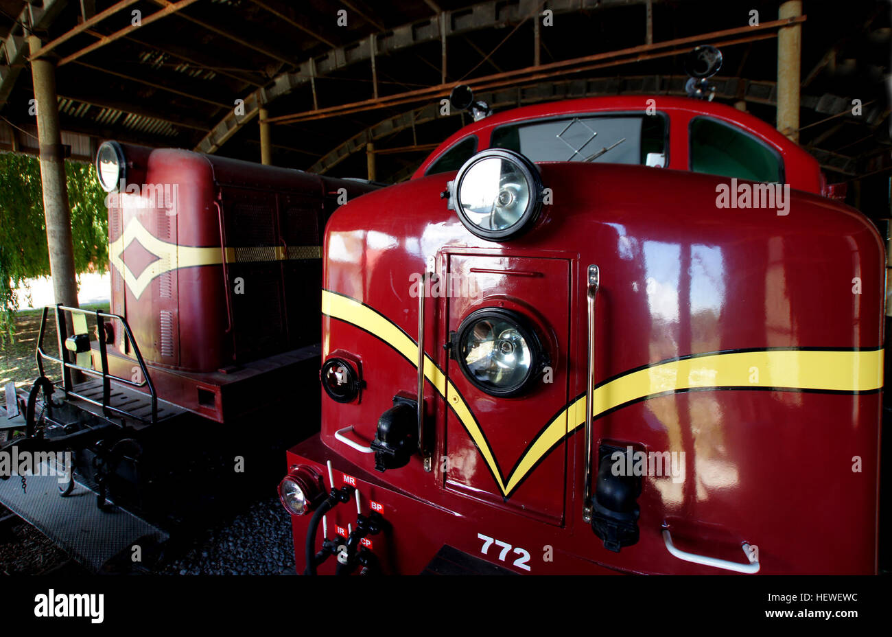 La DG 772, introdotta nel 1955, è una locomotiva diesel-elettrica facente parte del Diesel Traction Group in nuova Zelanda. Costruito da English Electric e Vulcan Foundry, ha segnato un significativo miglioramento del sistema ferroviario dell'Isola del Sud, sostituendo i motori a vapore con la tecnologia diesel per una migliore efficienza nel trasporto merci e passeggeri. Foto Stock