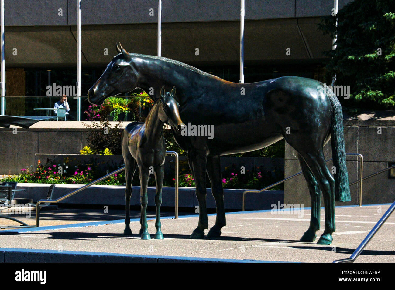 La famiglia dei cavalli, presentata alla città di Calgary nel 1989 da Spruce Meadows, rappresenta la forza e il legame all'interno delle famiglie di cavalli. L'opera d'arte, che comprende uno stallone, un mare e un puledro, riflette l'industria equina dell'Alberta e la sua importanza culturale per la regione. Foto Stock