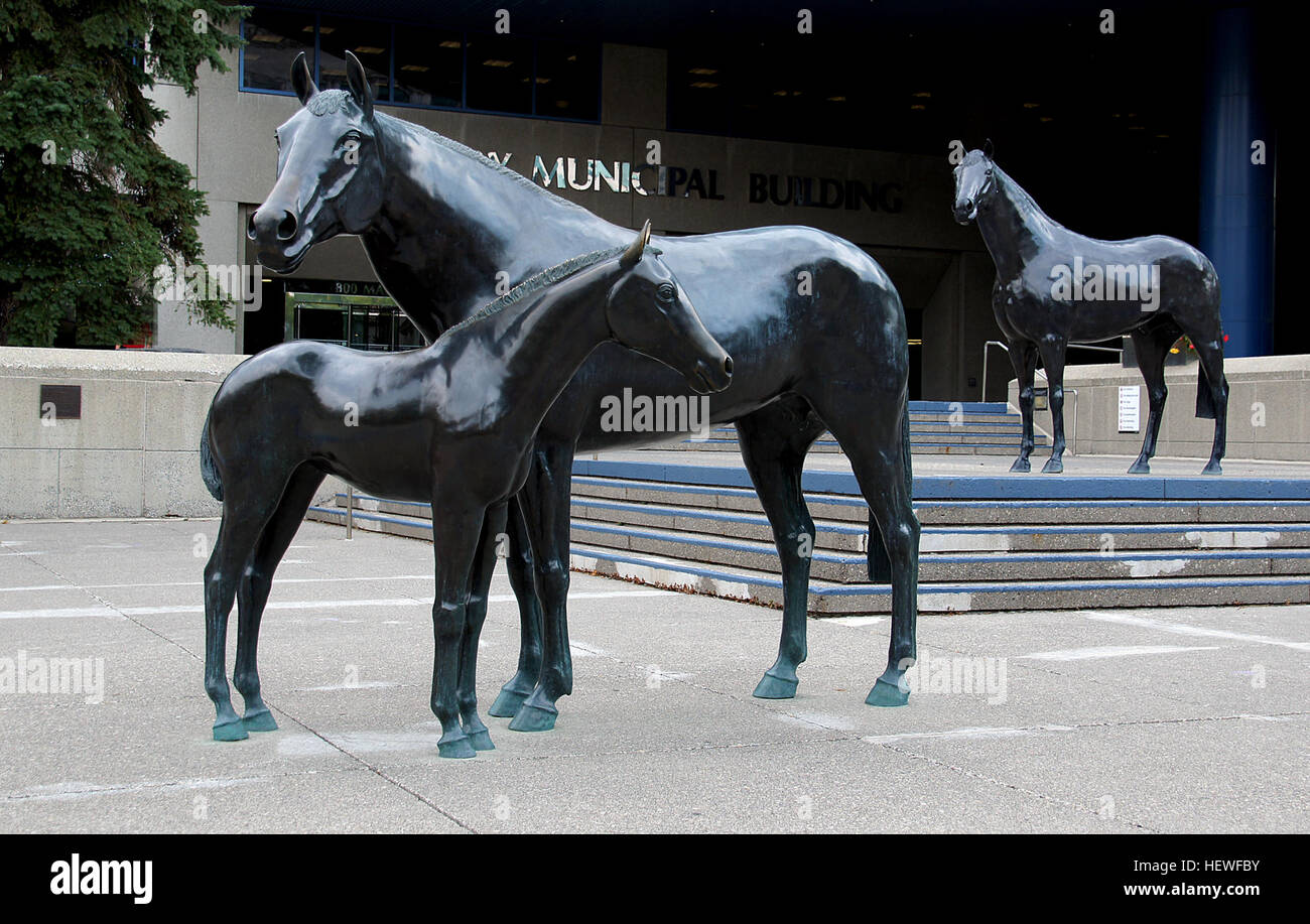 Famiglia di cavalli, 1989 questi cavalli sono stati presentati alla città di Calgary da Prati di abete a nome del cavallo dell'industria di Alberta. Lo stallone che si affaccia sul mare e puledro indica il legame e la forza fra le famiglie Foto Stock