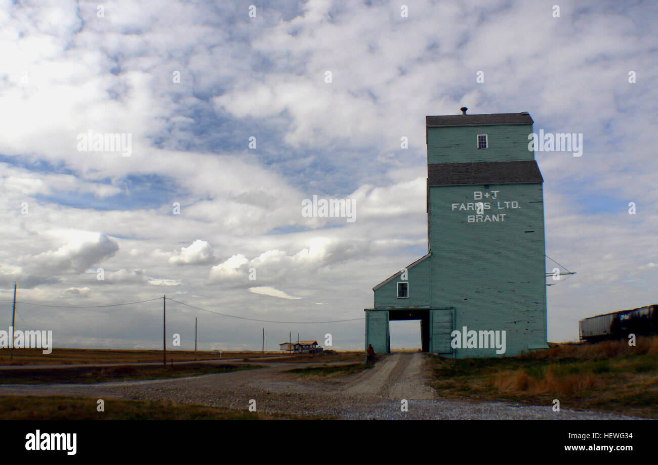 Brant si trova a 18 km ad ovest e a 12 chilometri a nord di Vulcan. Esso si trova sul CP linea principale che corre da Aldersyde a Kipp. Questo ascensore era originariamente una casa di elevatore della granella, ma ha cambiato i proprietari di Searle, federale e infine Alberta Pool di frumento, prima di essere venduto a B &AMP; J fattorie. Foto Stock