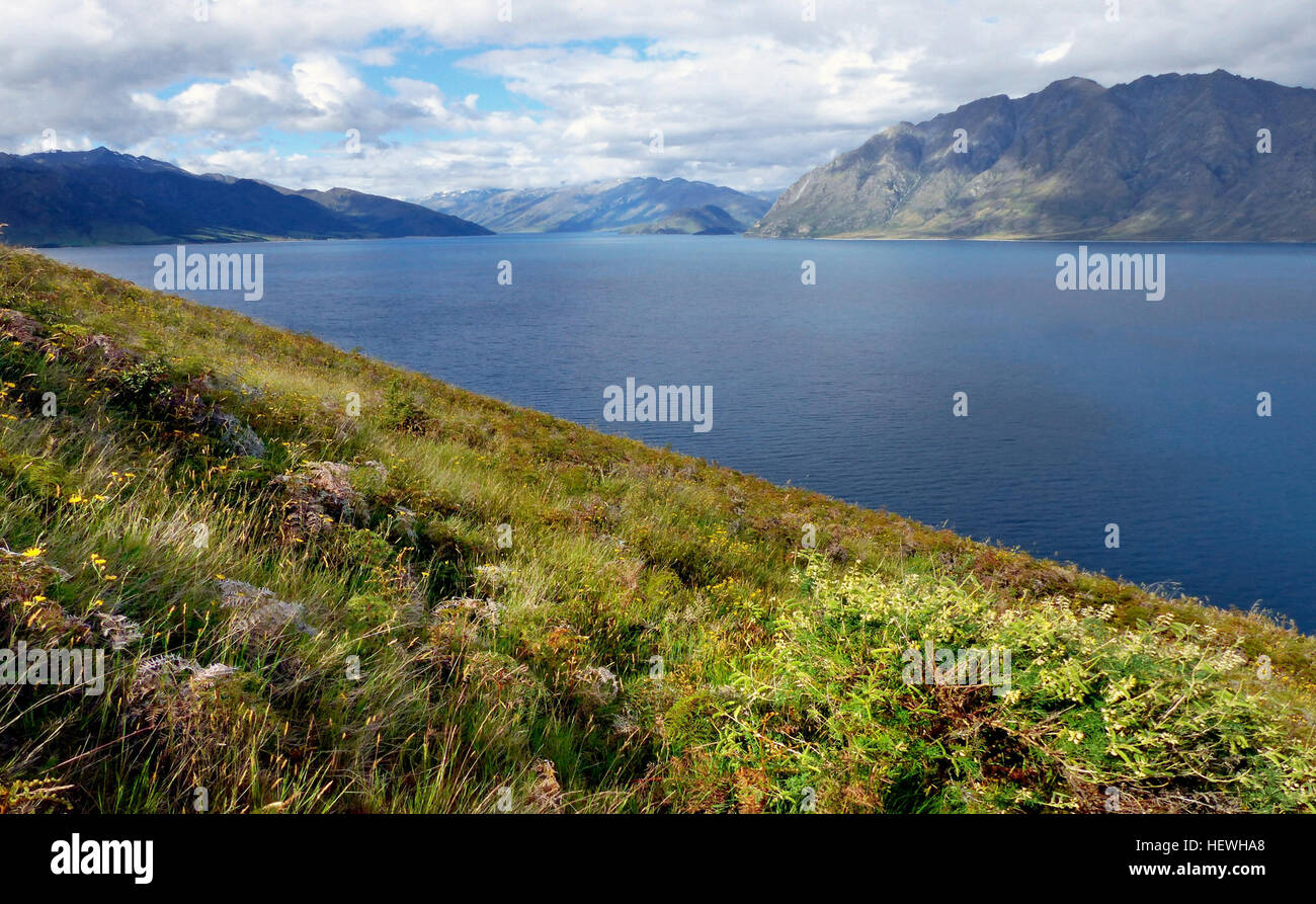 Il lago Hawea, nella regione di Otago in nuova Zelanda, è un grande lago glaciale utilizzato per la generazione idroelettrica. È lungo 35 km e raggiunge una profondità di 392 metri, con il suo livello dell'acqua innalzato artificialmente nel 1958. Foto Stock