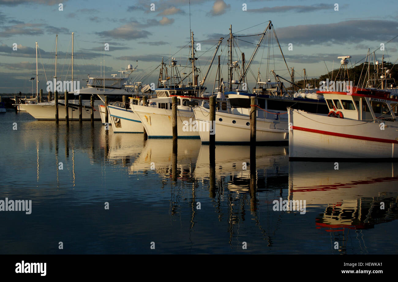 Questa fotografia mostra le barche da pesca attraccate a Nelson Bay, Port Stephens. L'immagine cattura l'atmosfera serena della baia, con barche fiancheggiate lungo la riva, pronte per la loro prossima battuta di pesca. Foto Stock
