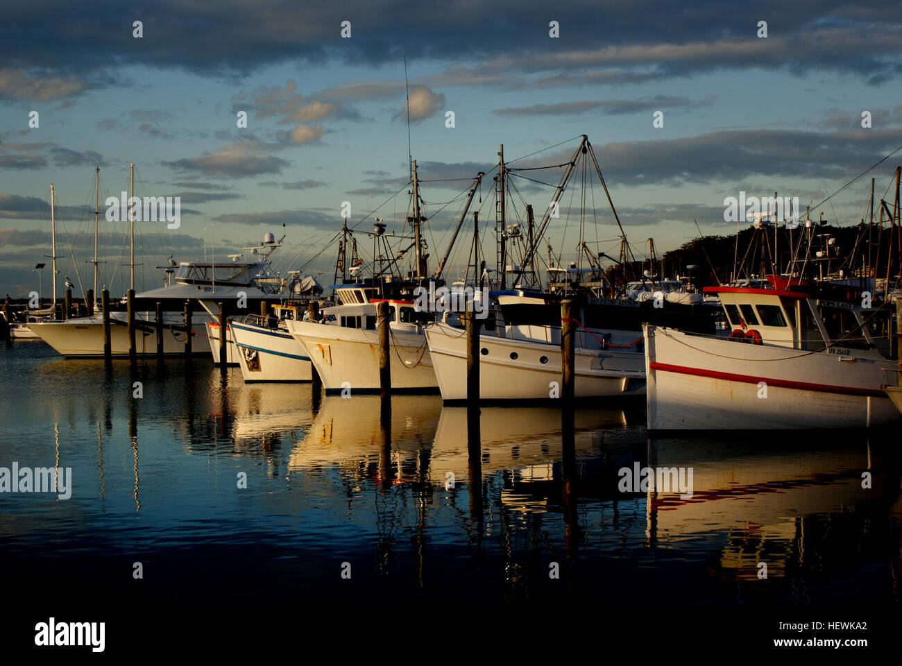 Port Stephens è una popolare destinazione turistica con una forte focalizzazione sulle attività acquatiche come osservazione di balene e delfini,la pesca e la nautica da diporto e nuoto. Port Stephens giace entro la porta Stephens-Great laghi parco marino e si trova a circa 160 chilometri (99 mi) a nord-est di Sydney. Il porto si trova totalmente entro l'area del governo locale di Port Stephens; sebbene il suo litorale settentrionale costituisce il confine tra il Port Stephens e grandi laghi locali aree di governo Foto Stock