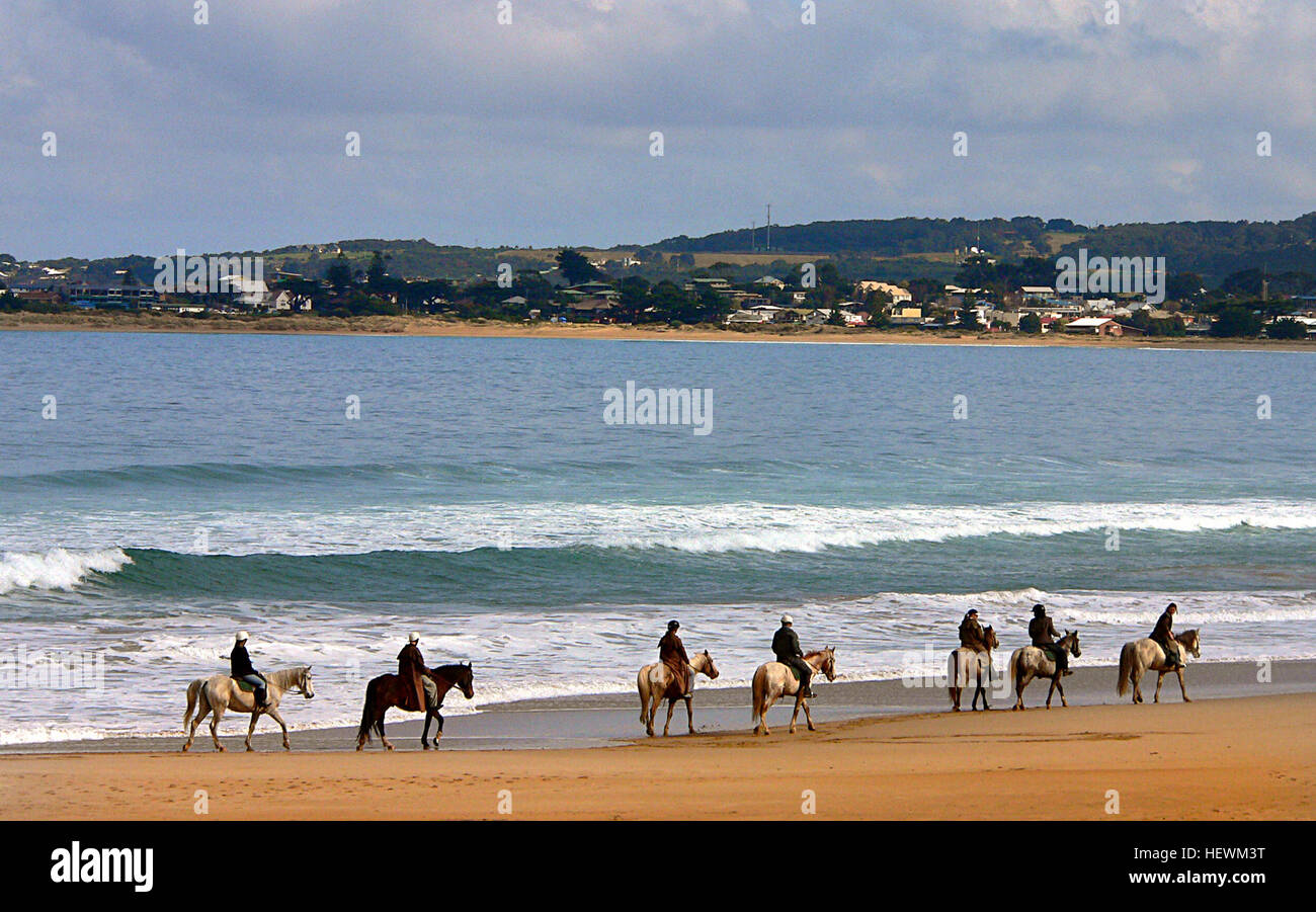 Apollo Bay, situata lungo la Great Ocean Road a Victoria, offre viste panoramiche, spiagge da surf, un porticciolo e una flotta di pescatori. La città è una popolare destinazione turistica, con ristoranti e caffetterie lungo il litorale. Foto Stock