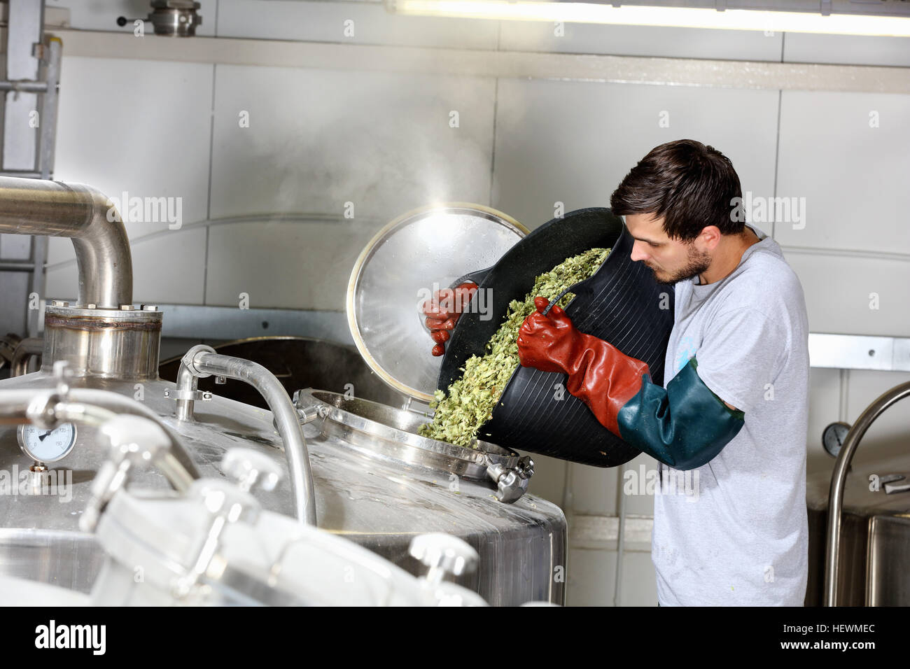 Lavoratore in fabbrica di birra, l'aggiunta di luppolo a preparare il bollitore Foto Stock