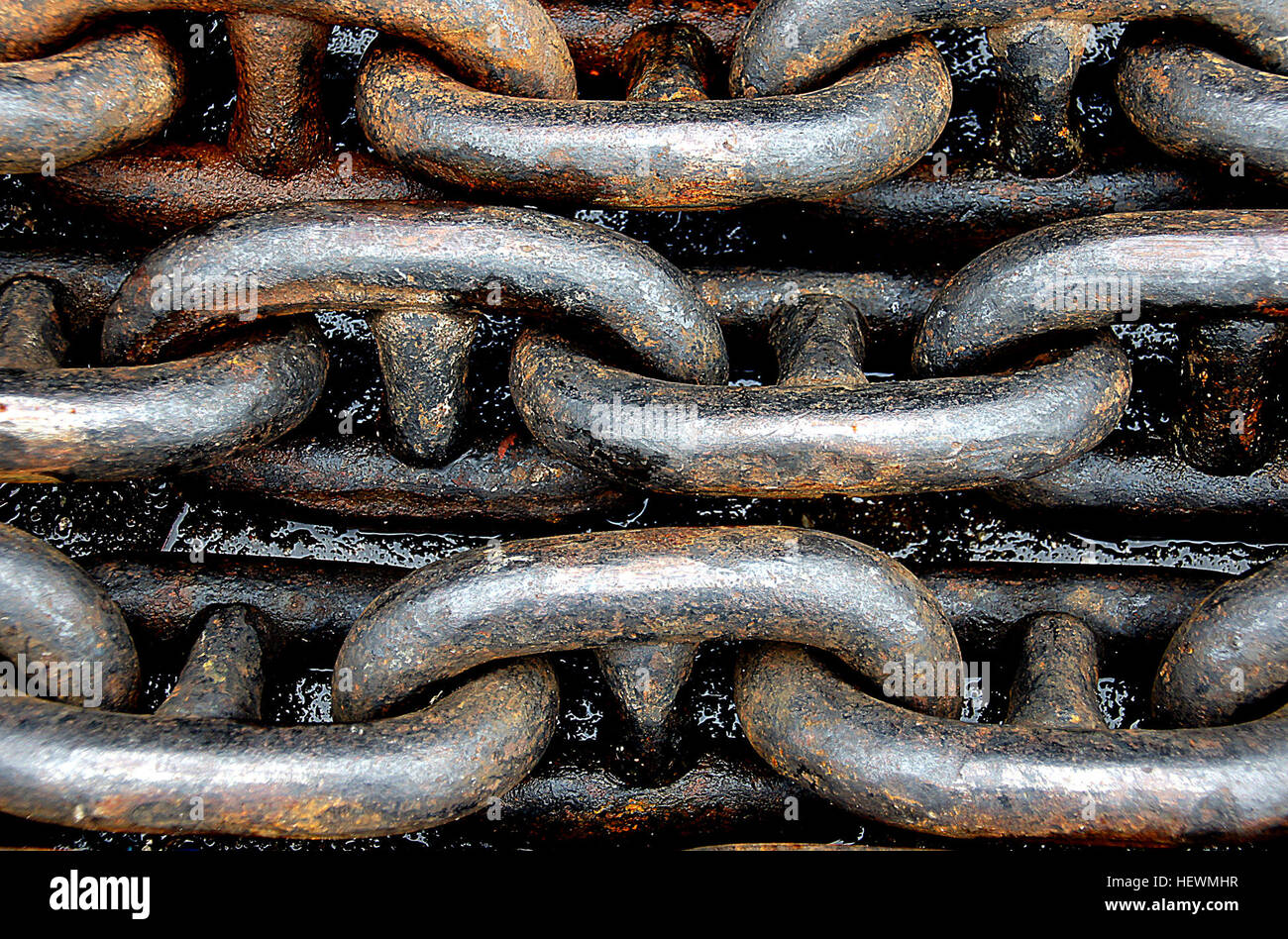 Questa immagine è stata acquisita con la fotocamera DSLR A580 di Sony, che mostra la capacità del dispositivo di produrre fotografie di alta qualità. La reflex digitale offre funzioni avanzate, tra cui messa a fuoco automatica rapida e immagini ad alta risoluzione, adatte sia ai fotografi professionisti che ai fotografi amatoriali. Foto Stock