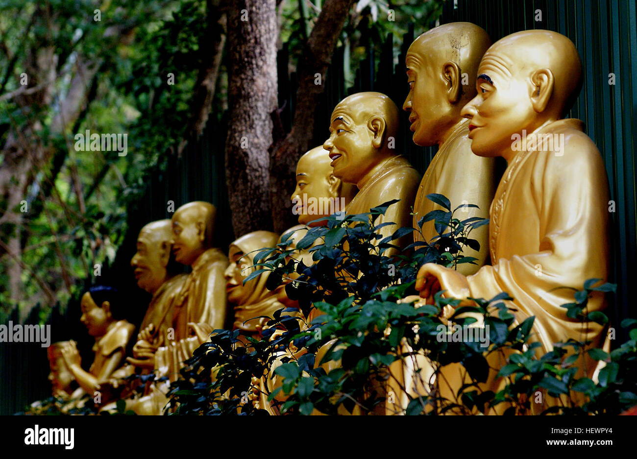 In alto al di sopra di una lussureggiante collina in nuovi territori città di Sha Tin e il Monastero dei Diecimila Buddha è uno dei più drammatici siti sacri in Hong Kong. Sono riuscito a visitare il monastero prima di iniziare la mia conferenza, tenuto ad Hong Kong la commuter rail a metà strada verso il confine con la Cina continentale. Per raggiungere il monastero si deve prima salire oltre 400 passi fino alla collina, il percorso foderato con lifesize statue di Buddha di tutte le forme e dimensioni. La vincita vale la salita - Il monastero stesso contiene una bella pagoda gigante e un tempio con oltre 13.000 piccole statue di Buddha Foto Stock