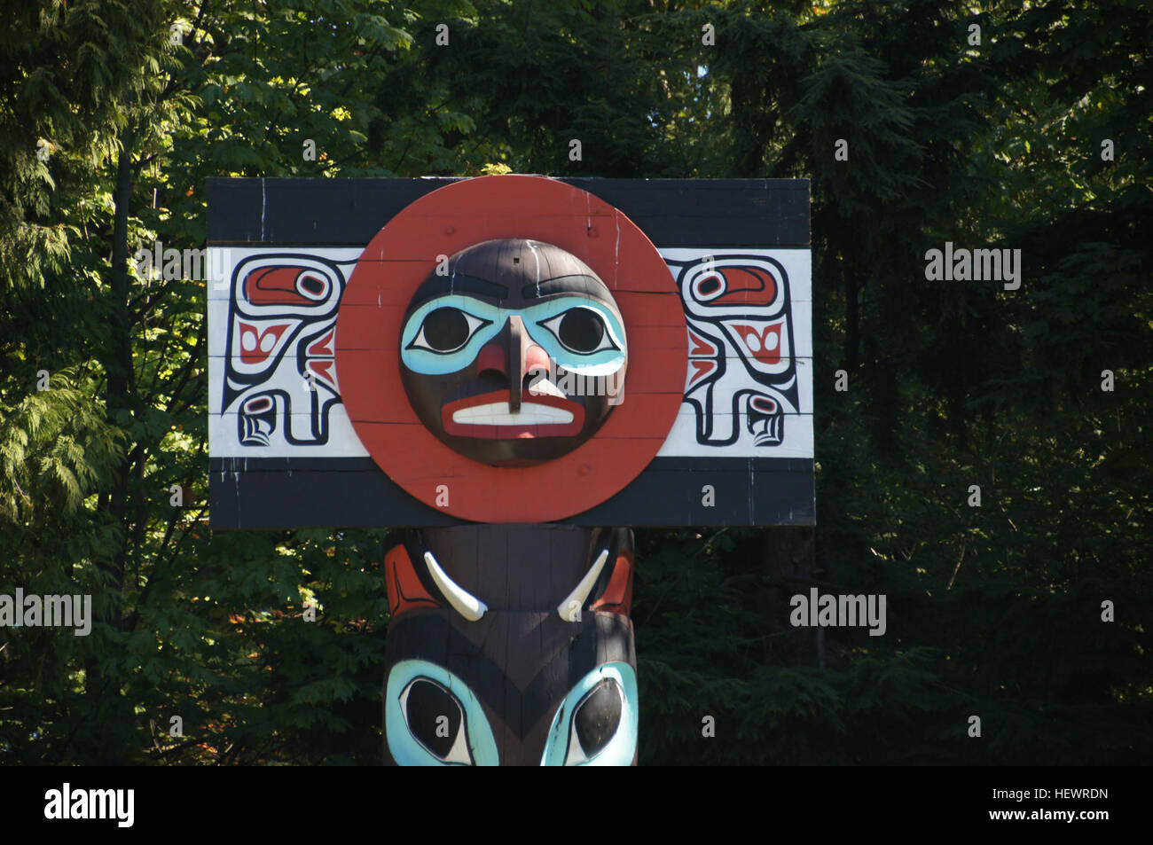 Questa immagine presenta una fotografia scattata con una fotocamera DSC SONY, che mostra la chiarezza e i dettagli tipici delle fotocamere digitali dell'era moderna. Foto Stock