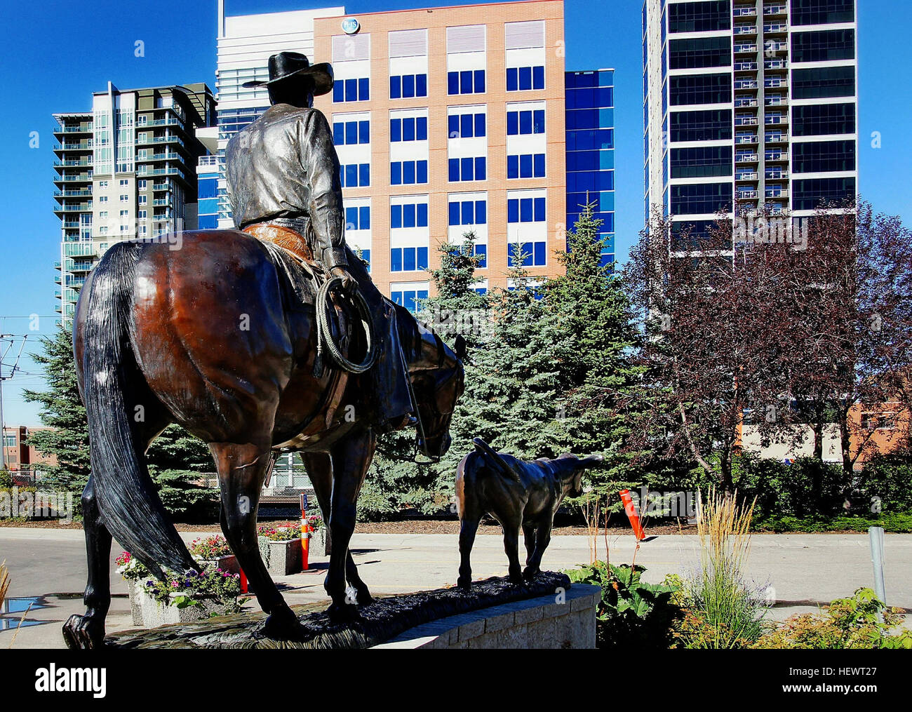 Innumerevoli rodeos avvengono in tutta la provincia. Il capostipite di tutti loro è l'annuale Calgary Stampede, il rodeo più ricchi la concorrenza in tutto il mondo con più di 2 milioni di dollari in premi in palio in calf roping, steer wrestling, bronco e toro di equitazione e Barrel racing. Oh, e non dimentichiamo il famoso chuckwagon gare. Non vi è niente a confronto per il brivido di cavalli, carri e outriders assordanti giù il homestretch, sporcizia battenti, terra letteralmente agitando sotto i vostri piedi. Foto Stock