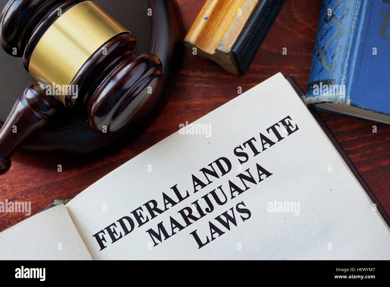 Statale e federale in materia di leggi sulla marijuana titolo su un libro e un martello. Foto Stock