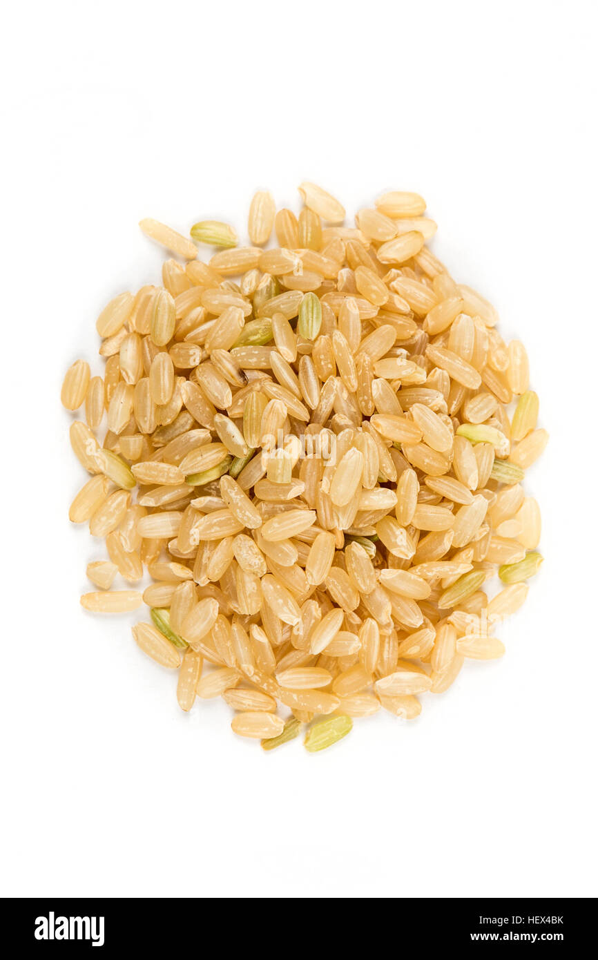 A grana corta riso bruno isolato su sfondo bianco Foto Stock