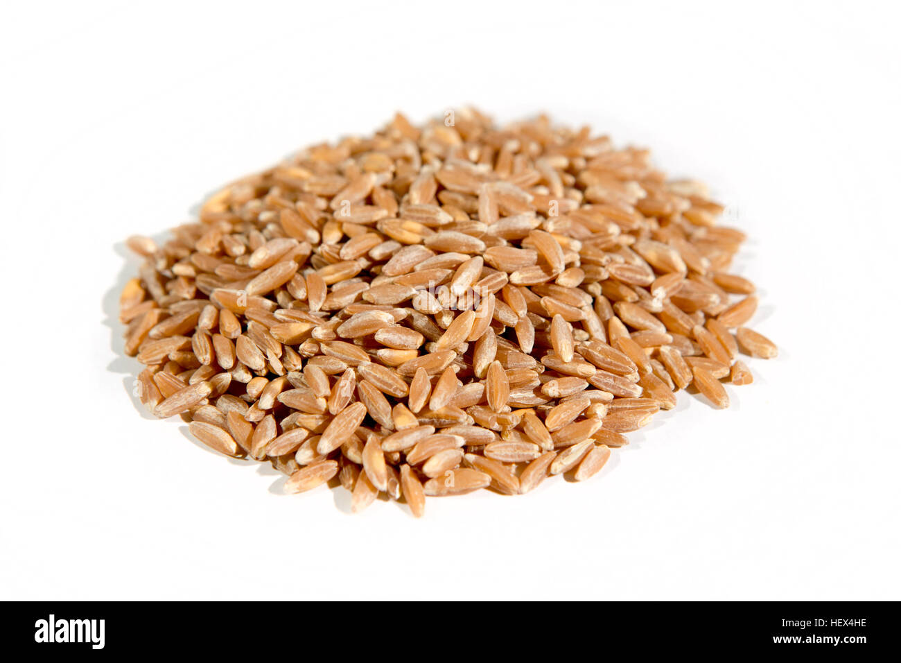 Farro biologico isolato su bianco Foto Stock