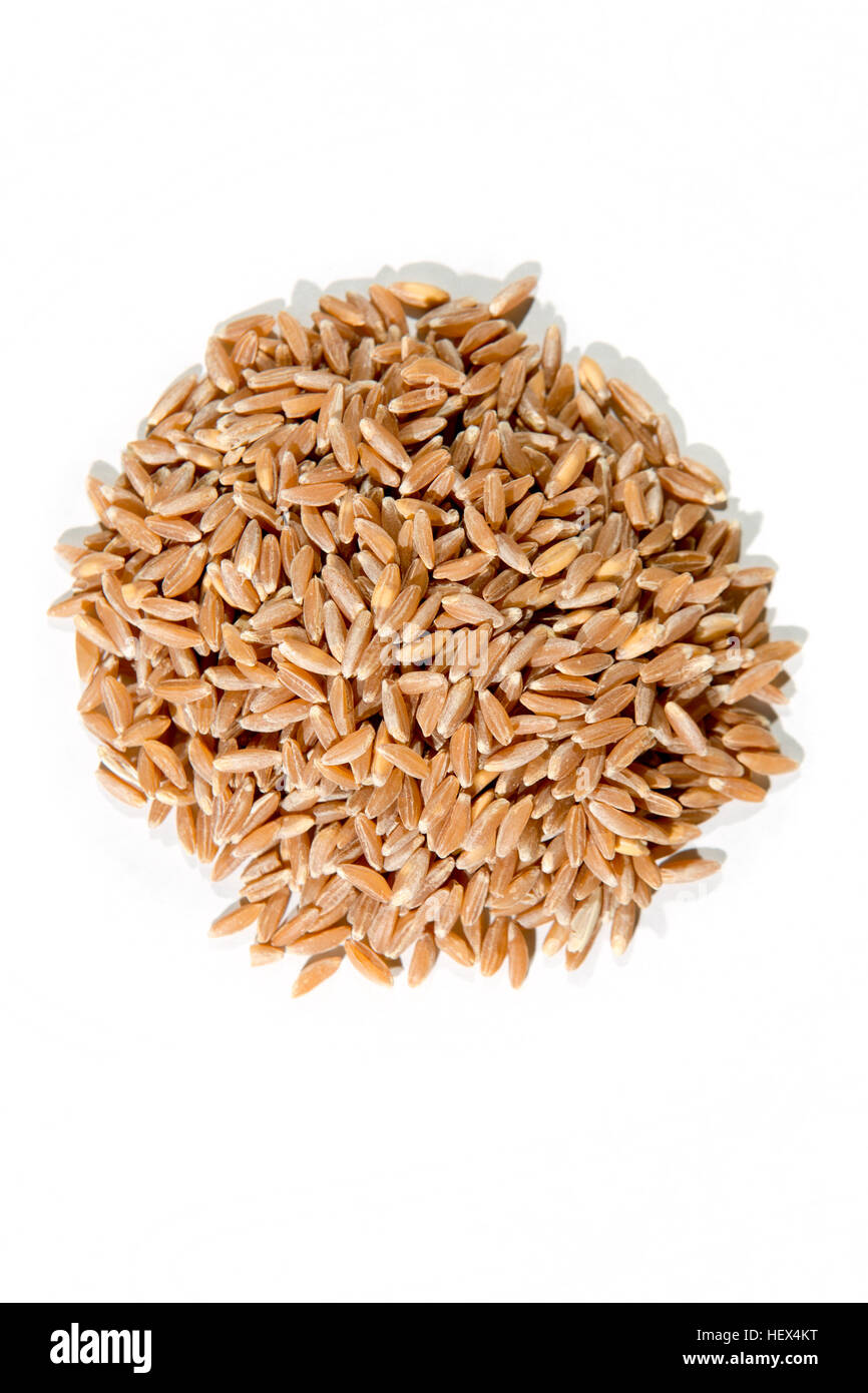 Farro biologico isolato su bianco Foto Stock