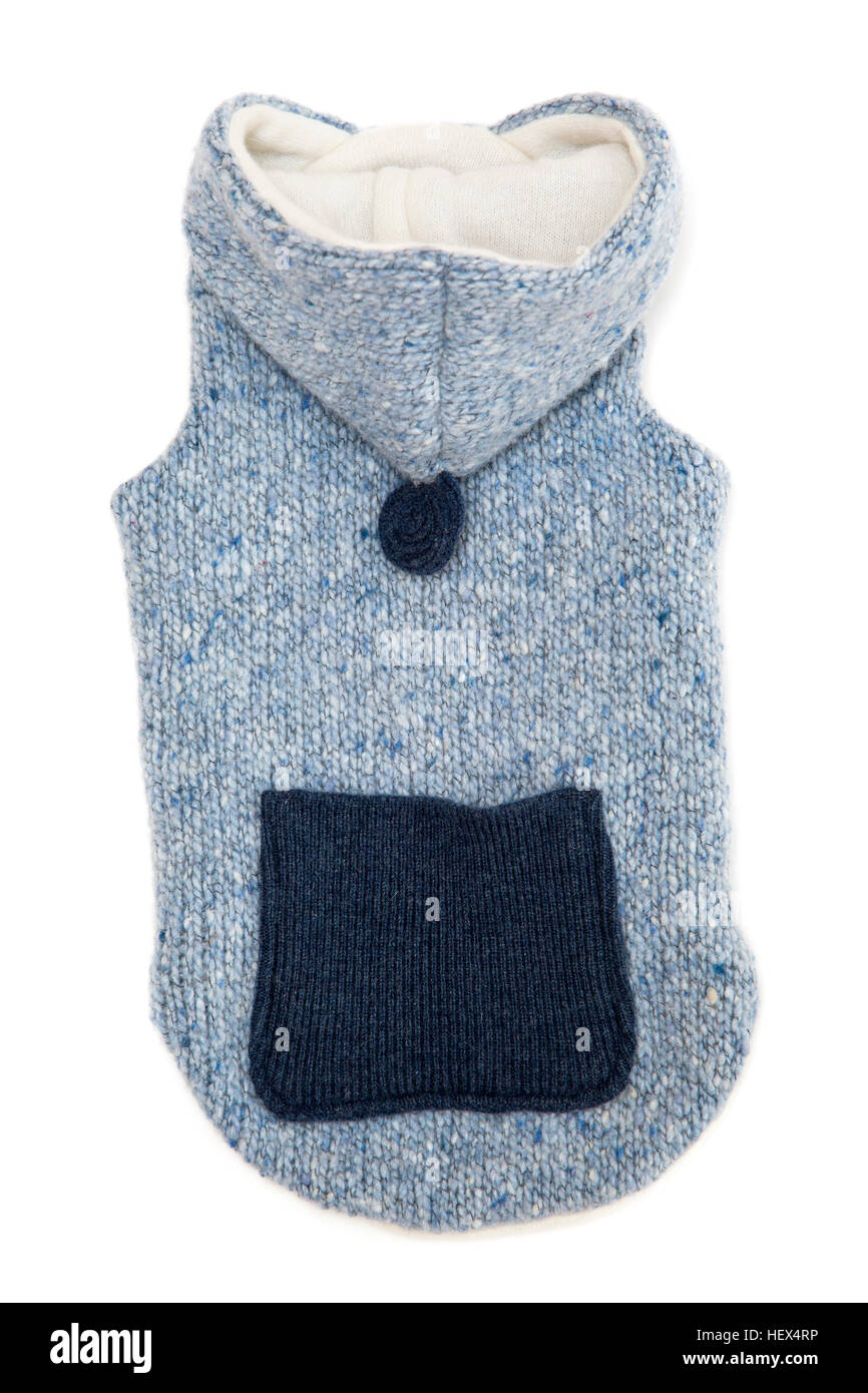 Unico cane blu maglione isolare su bianco Foto Stock