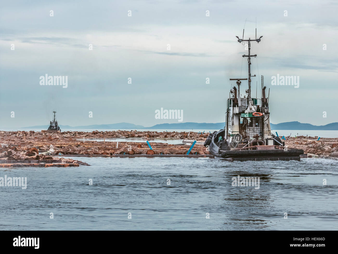 Il rimorchiatore 'Samantha J' funziona con un altro potente rimorchiatore per spostare i bracci di registro nello Stretto di Georgia, Columbia Britannica (prima è affondata nel 2014). Foto Stock