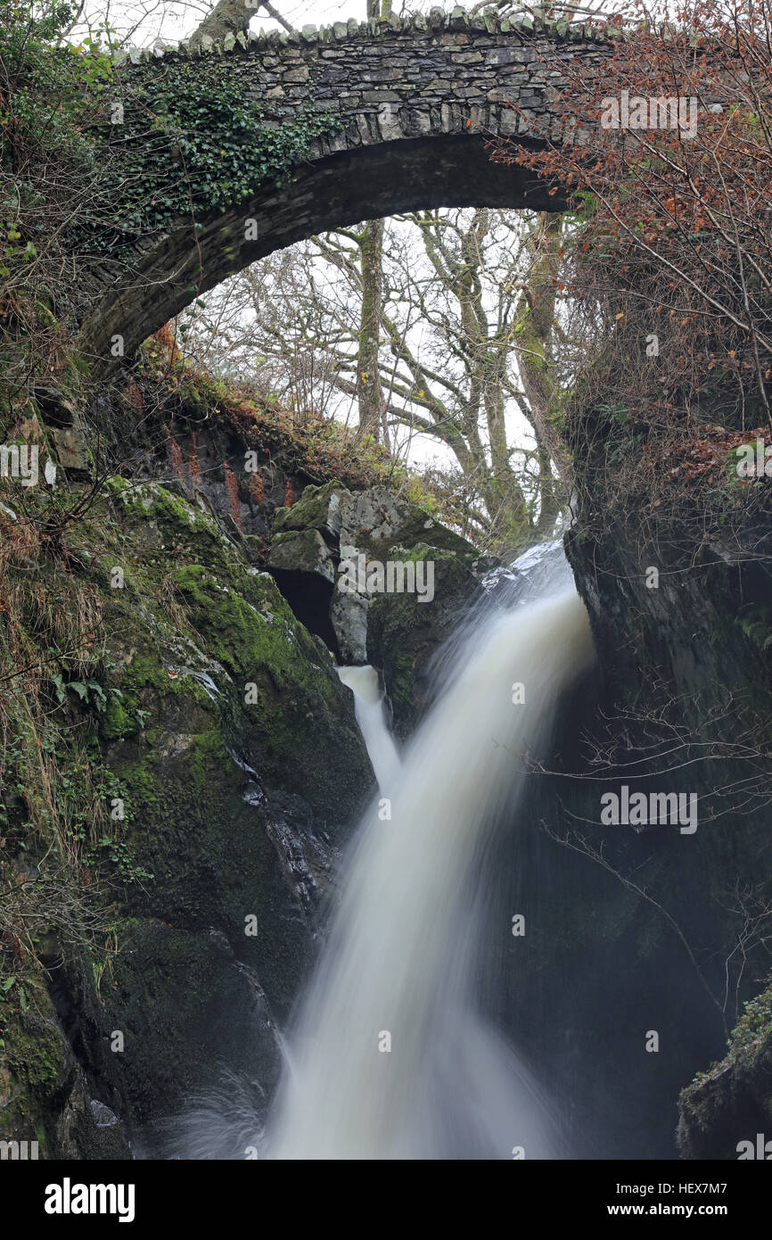 Ponte di pietra sul Aira Force cascata, Parco Nazionale del Distretto dei Laghi, Cumbria, Regno Unito Foto Stock