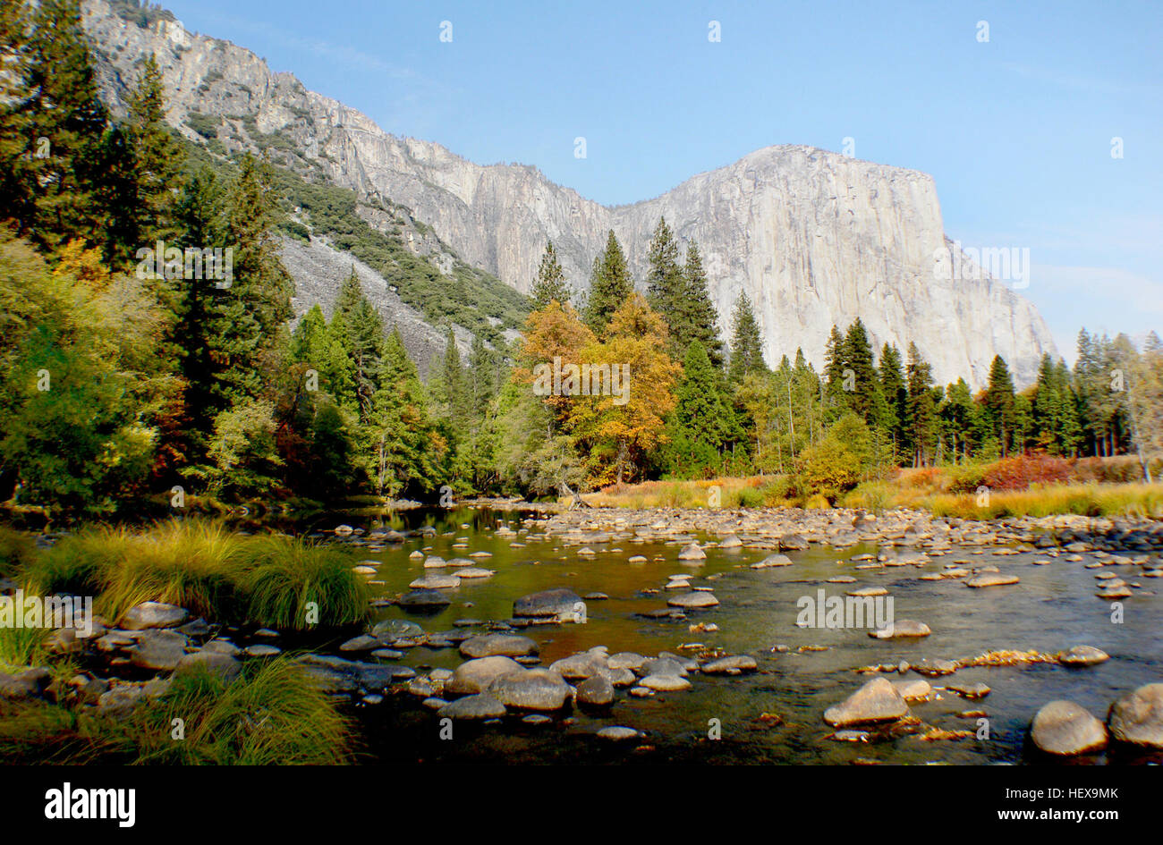 Il Parco Nazionale di Yosemite, situato nelle montagne della Sierra Nevada della California, è noto per le sue antiche sequoie, tra cui la famosa vista del tunnel con vedute della cascata di Bridalveil, El Capitan e Half Dome. Foto Stock