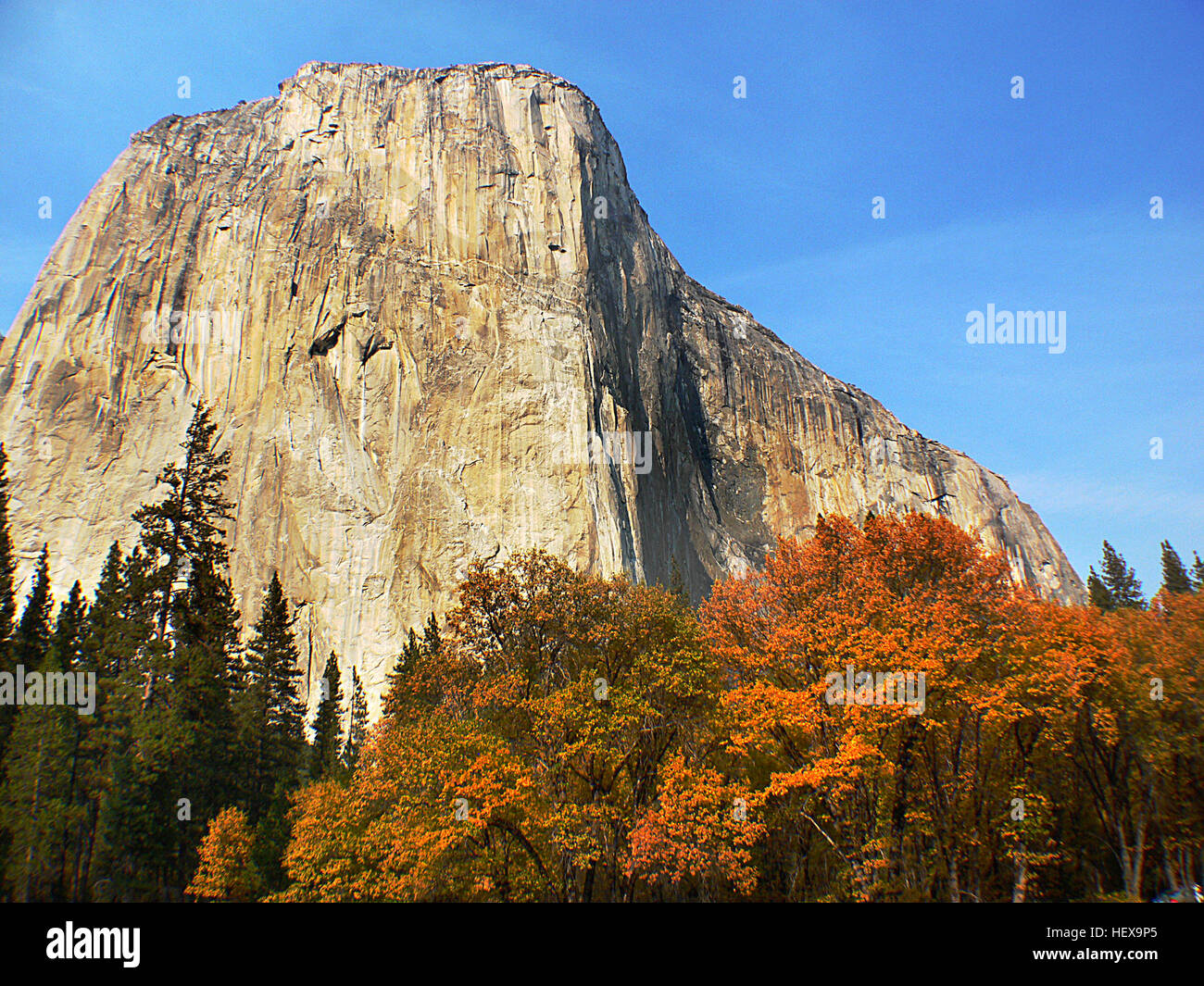 Parco Nazionale di Yosemite in California, vanta di valli pendenti, che gettano le cascate, cupole in granito, un boschetto di antichi alberi di sequoia e centinaia di specie della fauna selvatica Foto Stock
