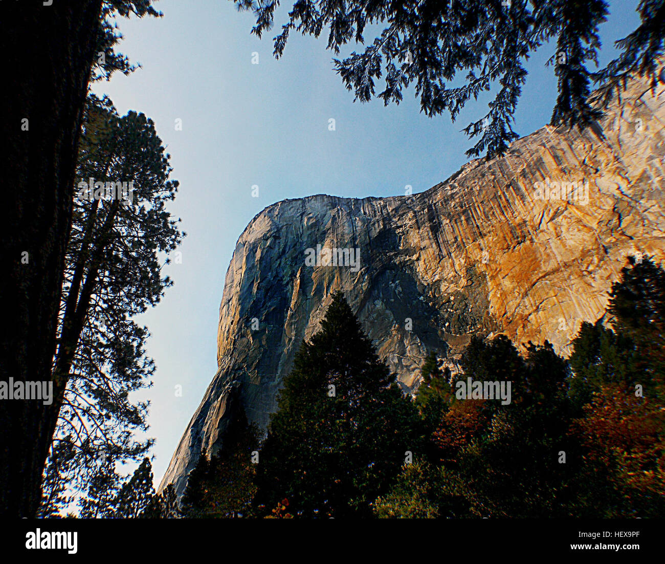 Questa immagine cattura una vista da ponte del Parco Nazionale di Yosemite, mostrando la bellezza naturale del parco e il paesaggio iconico. Foto Stock