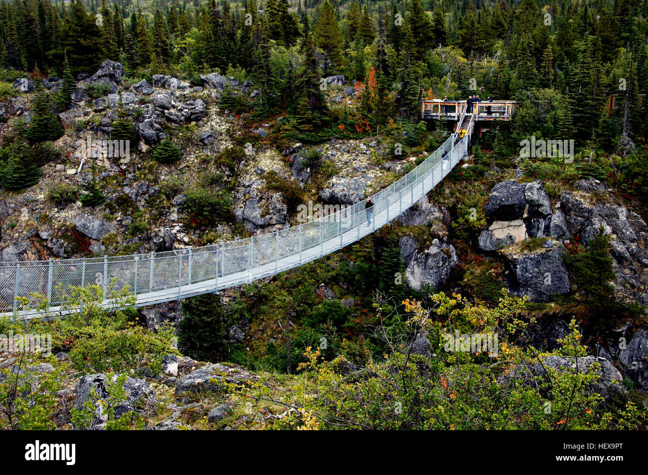 La sospensione di Yukon Bridge è un pedone cavo ponte di sospensione si trova sul miglio 46.5 sul Sud Klondike Highway in Northern British Columbia, Canada. Si tratta di 200 piedi (60,96 metri) lungo e si allunga 57 ft (17.36 metri) oltre il Tutshi River Canyon. Vi è una tassa di ammissione ed è visitato da oltre 25 000 persone ogni estate tra i mesi di maggio e settembre. Foto Stock