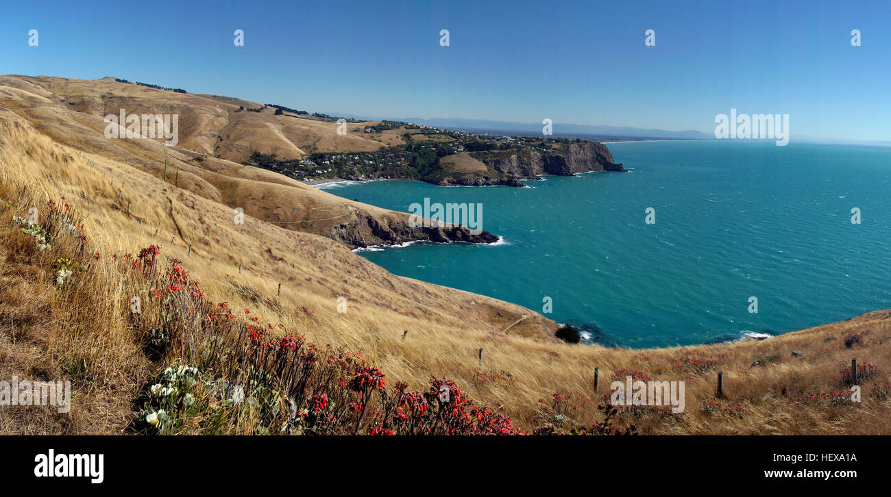 La Penisola di Banks, situata sulla costa orientale dell'Isola del Sud della nuova Zelanda, è un'area geologicamente significativa formata da due vulcani estinti. Presenta paesaggi suggestivi con porti come Lyttelton e Akaroa, che sono stati modellati dall'attività vulcanica passata e dall'innalzamento del livello del mare. Foto Stock