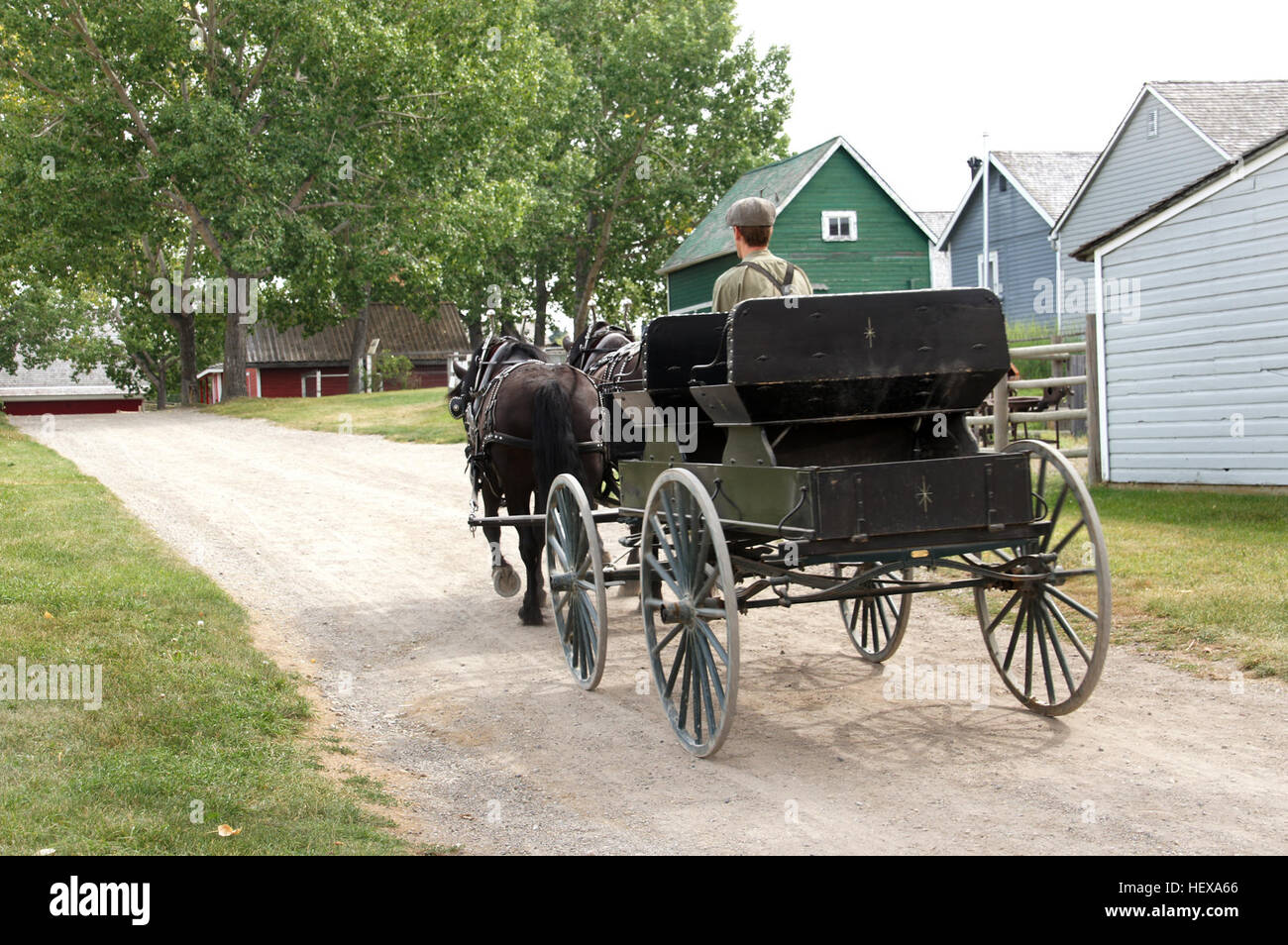 Una fotografia scattata all'Heritage Park di Calgary mostra un cavallo e una carrozza, catturando un mezzo di trasporto storico. Heritage Park conserva la storia canadese attraverso le sue mostre, offrendo uno sguardo al passato con veicoli storici e mostre di stile di vita. Foto Stock